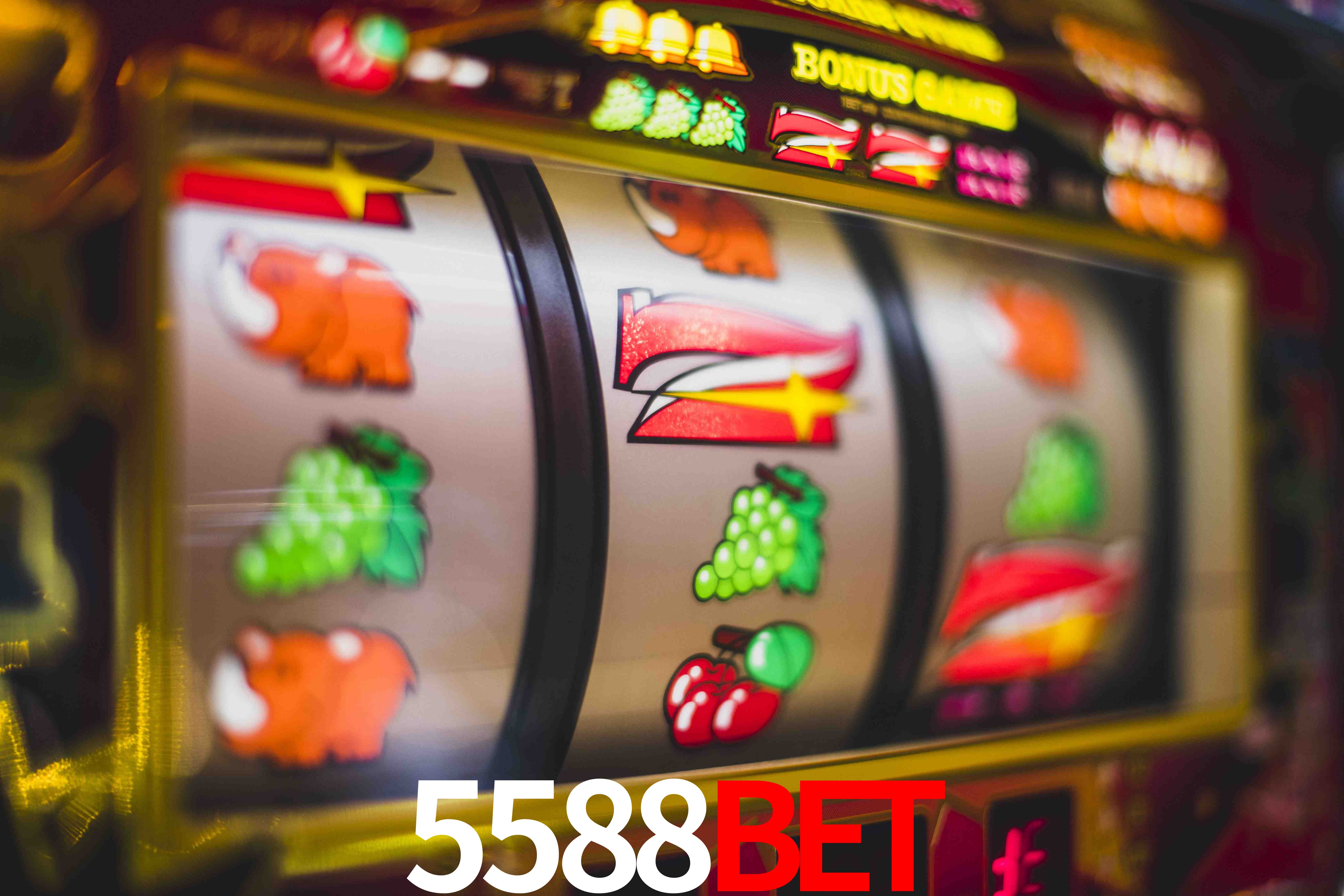 Crash Games Statistics 5588bet